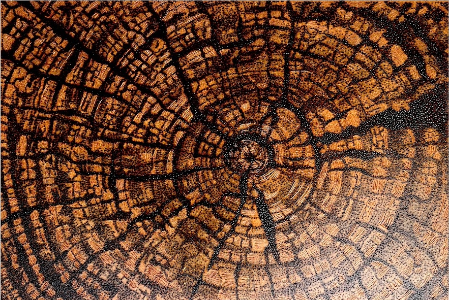 กระบวนการ pyrography — รอยไหม้บนไม้